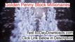 Golden Penny Stock Millionaires 2013, did it work (my real review)