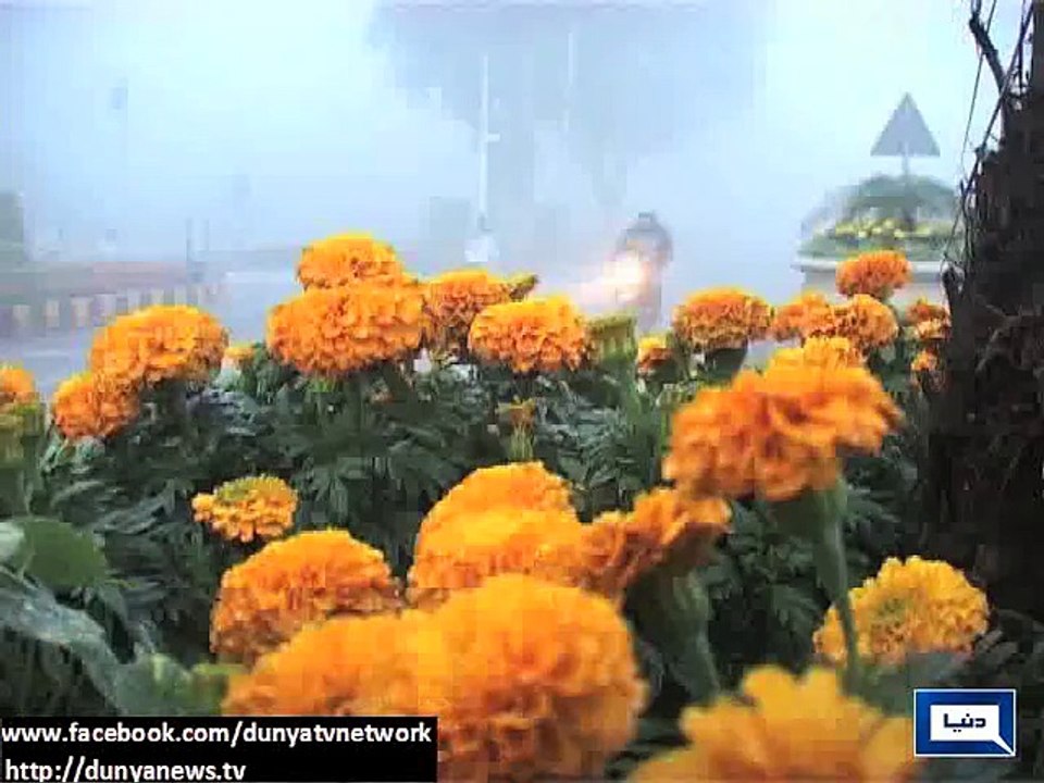 Dunya News - Dense fog disrupts road traffic, air schedule in Punjab