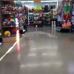 This Dog Is So Happy   Playing In The Mall