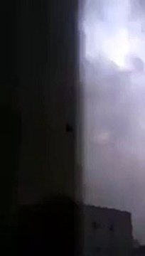 Mojza Flying Black Horse in Saudi Arabia Video