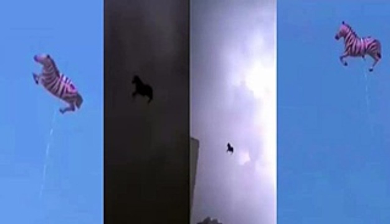 Reality of flying horse in the sky must watch