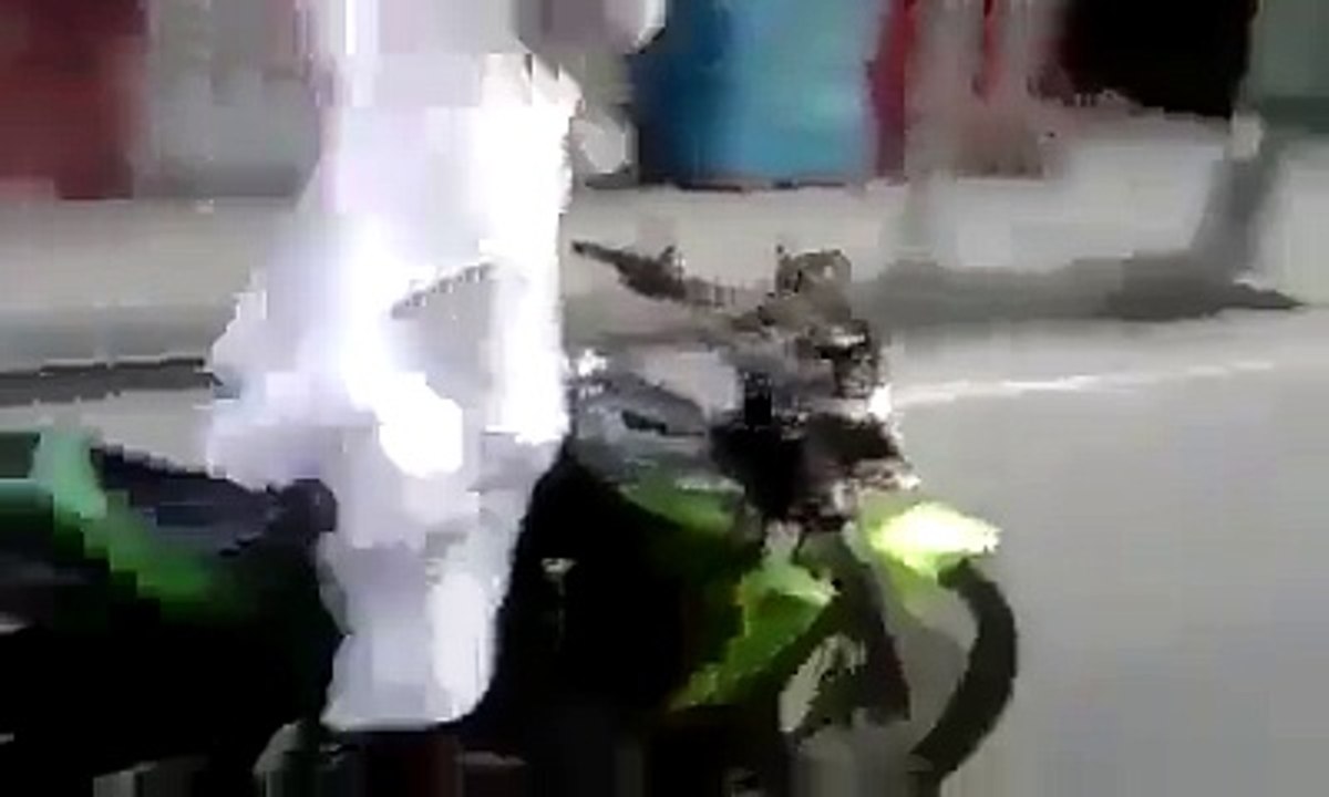 funny clip
