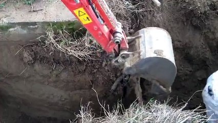 Türk işi kaktır iş sakası