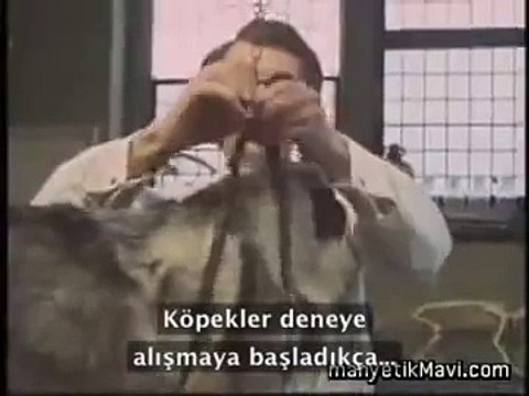 Pavlov'un Köpek Deneyi - Klasik koşullanma deneyi (Türkçe Altyazılı)