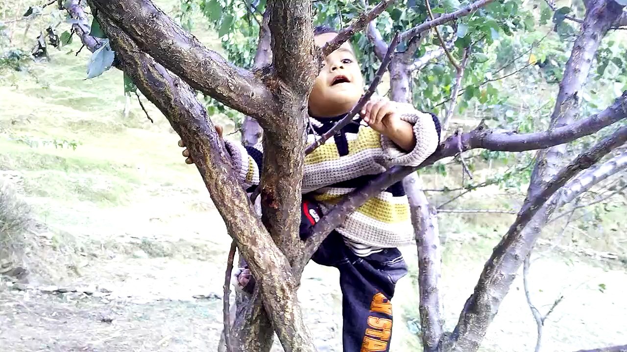 sameer ilyas mansehra