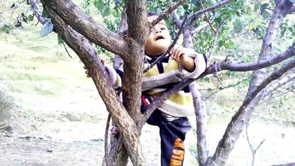 sameer ilyas mansehra