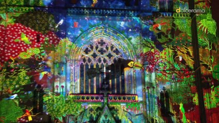 Illuminations cathédrale.  Lumi Nantes et Alain Thomas illuminent Nantes