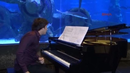 Antalya Akvaryum?u 100 Bin Öğrenci Ziyaret Etti