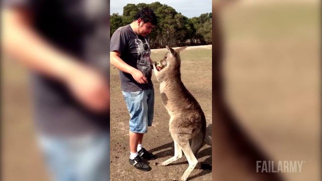 Grosses gamelles et éclatage de boules... Compilation de Nutshots fails bien violents!