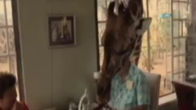 Zürafayla Kahvaltı Yapmak İster Misiniz?