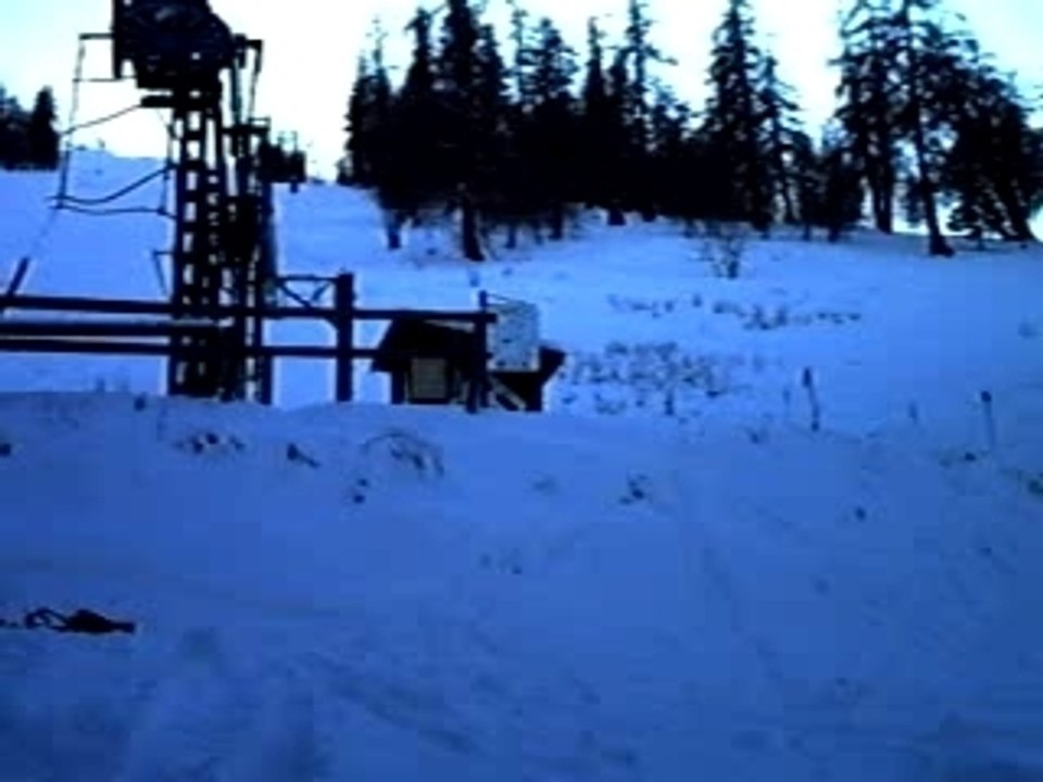 Gros gap de oliv a la colmiane