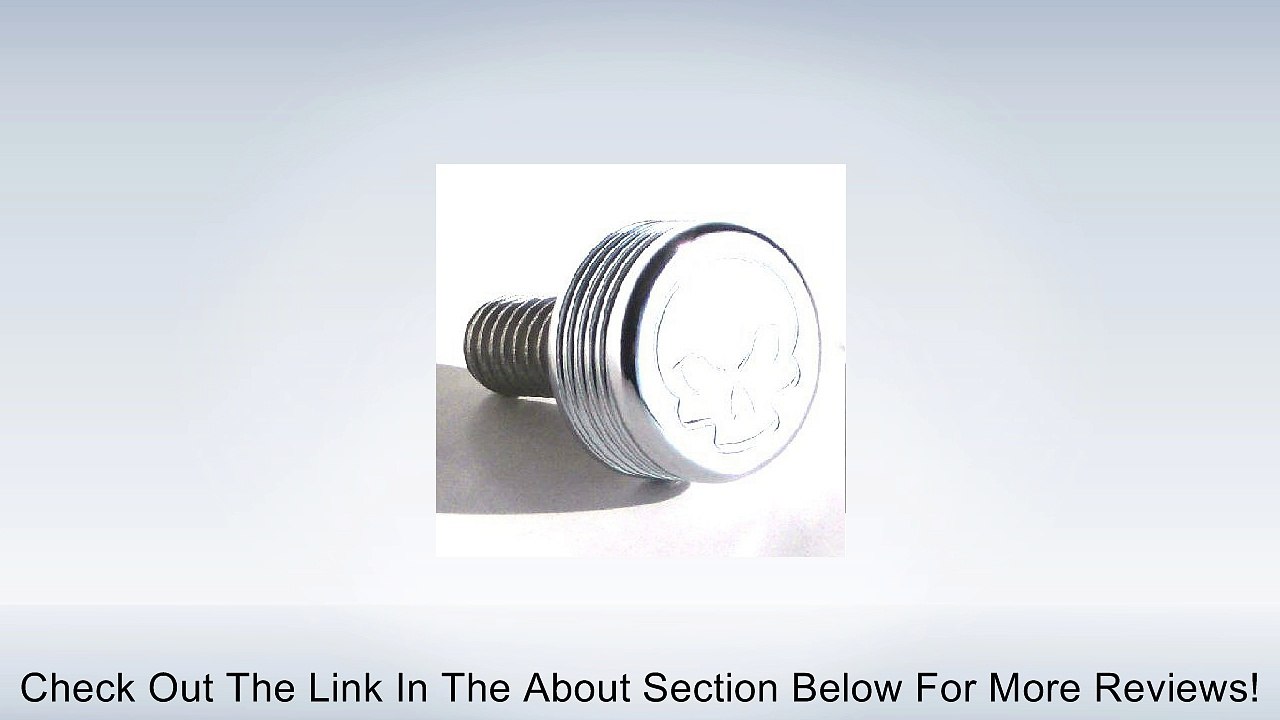 Chrome "Skull" Air Cleaner Bolt & Cap Kit for Harley Twin Cam Models Review