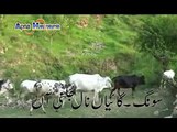 Hindko Song Gayian Naal Julni Aan گائیاں نال جُلنی آں