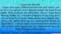 Amber - Auric Blends Perfume Oils Review