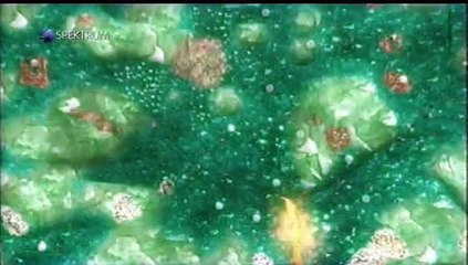 Jak-vznikla-Země---speciál