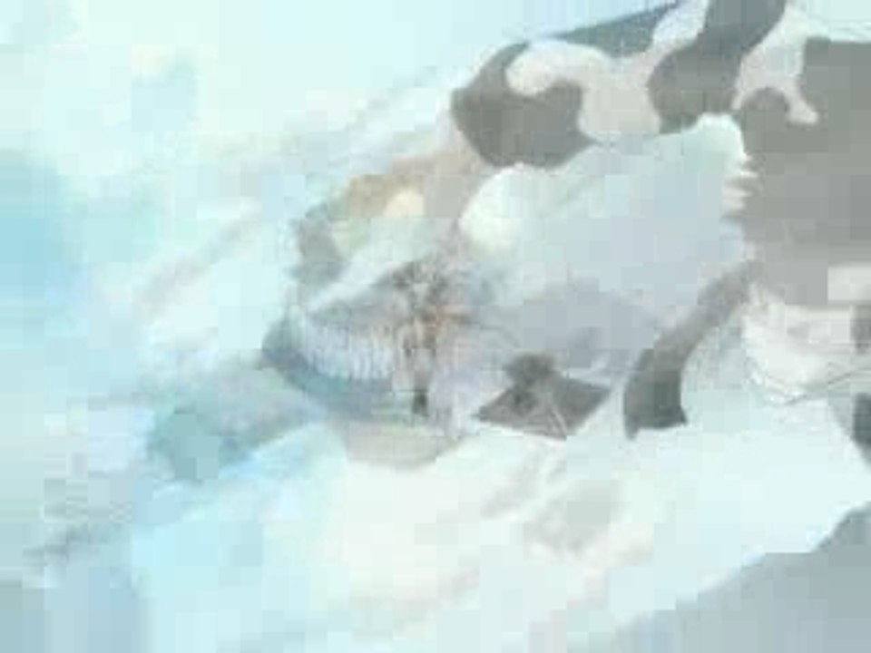 Naruto -  Shinobi Vs. Dragon Ninja