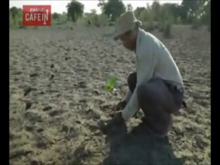 Il plante des arbres depuis 40 ans pour sauver son île, un homme d'exception...