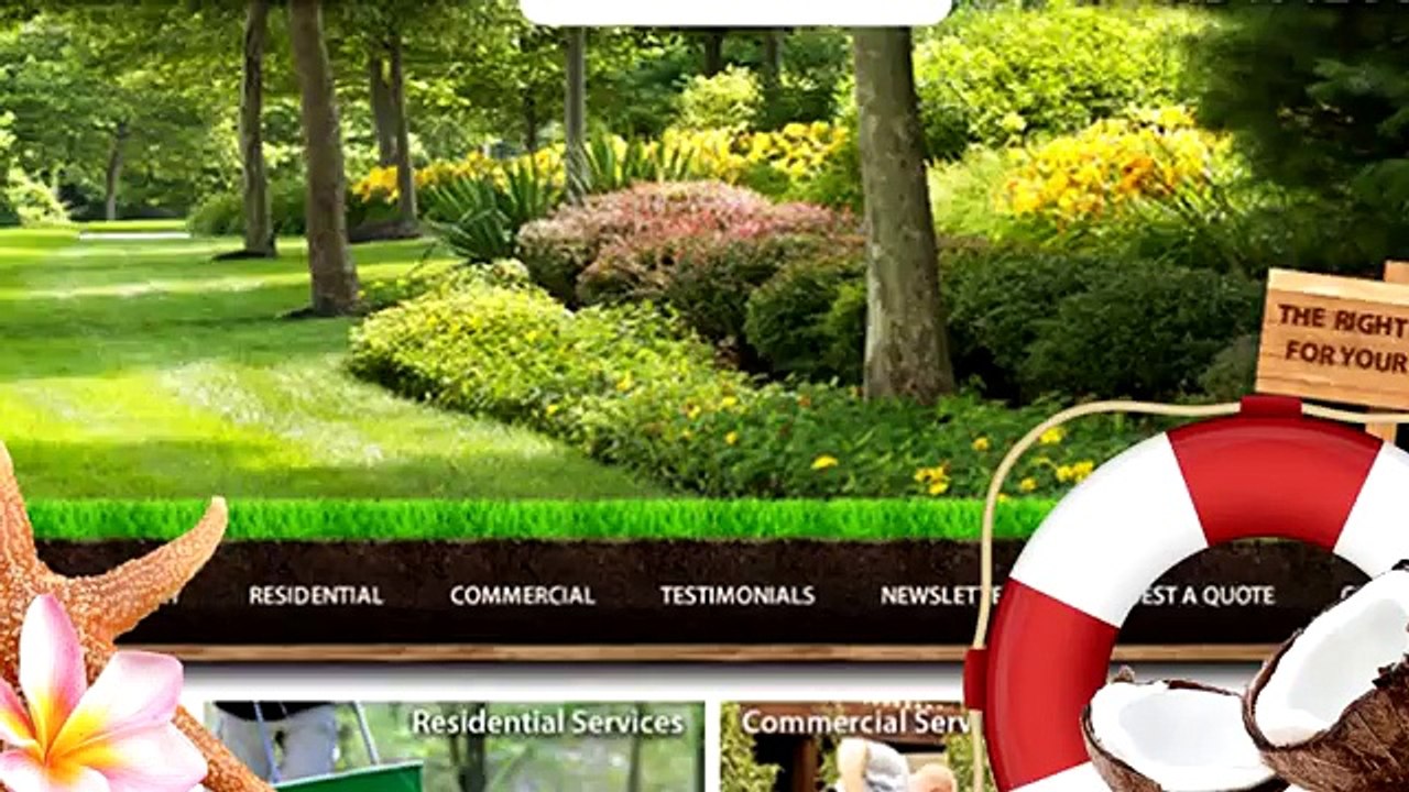 Web Page Video