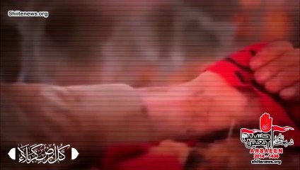 Come and See, We are Shia (Follower of Imam Ali as)