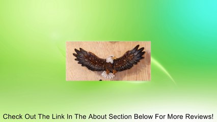 5 Inch Soaring American Eagle Detailed Design Pull Handle (Drawers) Review