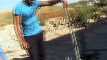 Los Chuchimurris del Desierto, Capítulo 5: "Yo creo que esto es fiable"