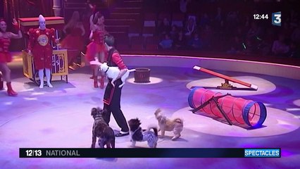 Le spectacle du cirque Bouglione, à découvrir jusqu'au 1er mars