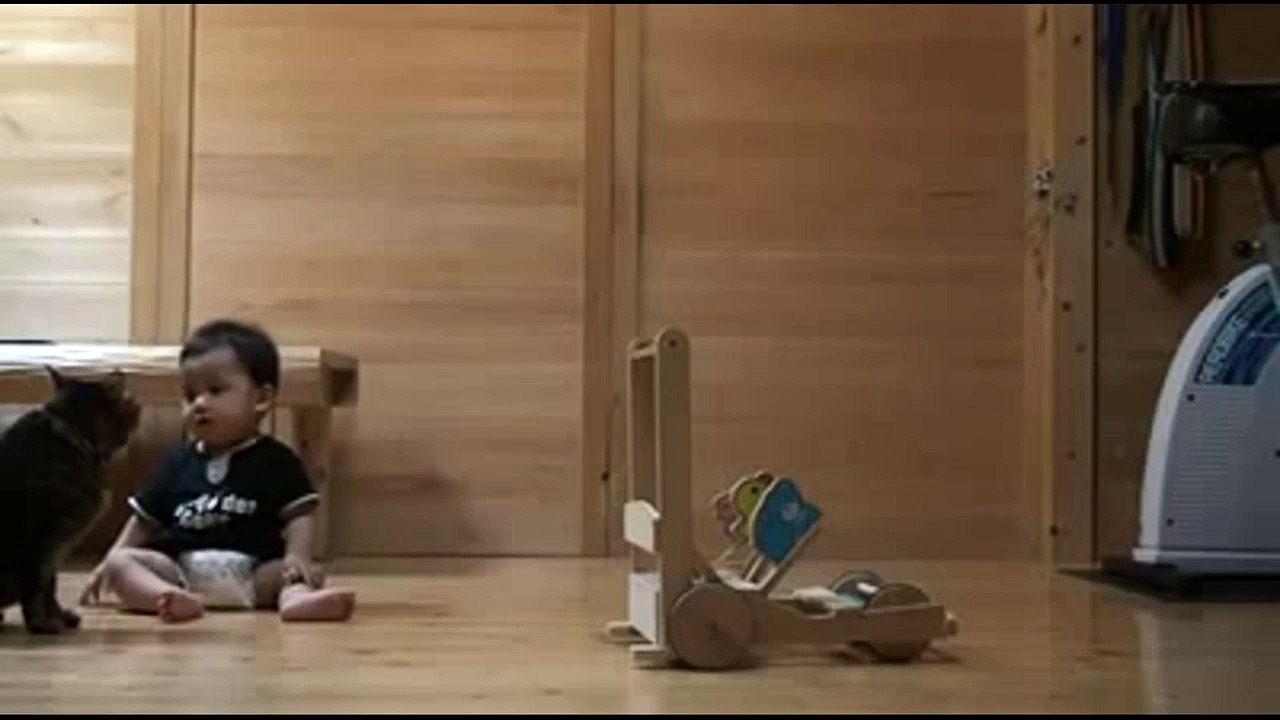 Le chat apprend au bébé à marcher