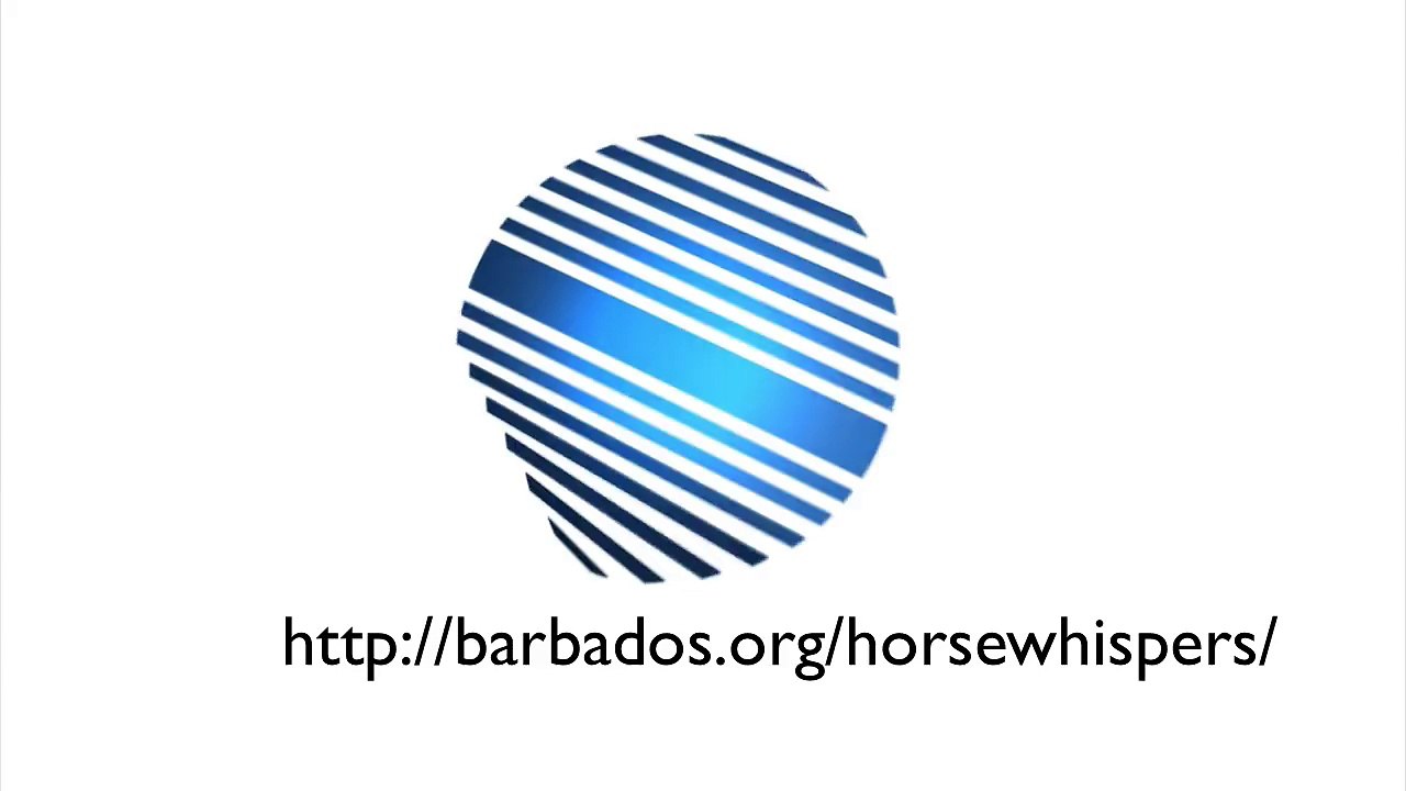 Coaxing a Horse to Swim at  Carilse Beach Barbados