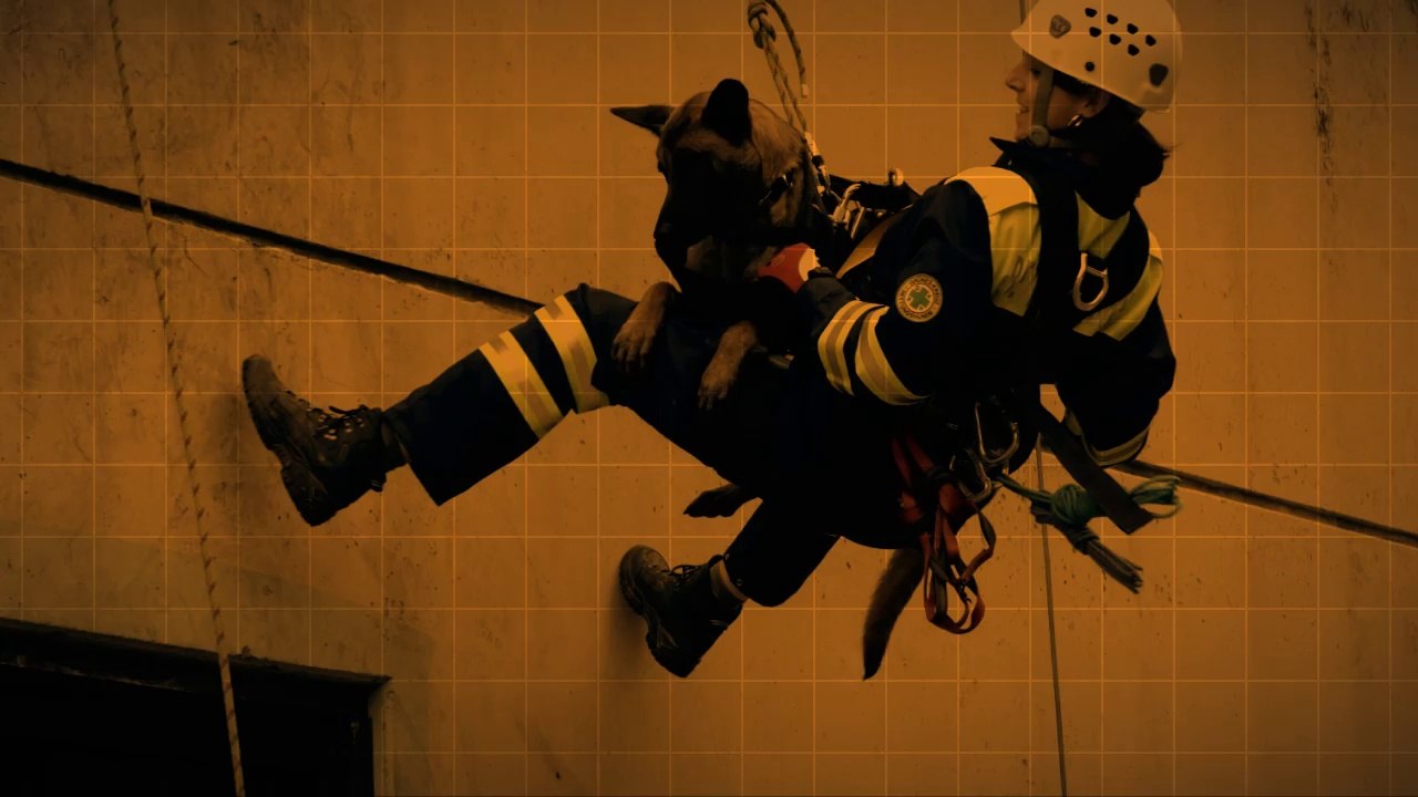 Be Aware Face @ Grünes Kreuz - Rettungshundestaffel