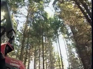 Komatsu 911.3 X3M Harvester - Extreme to Steep Slope Application