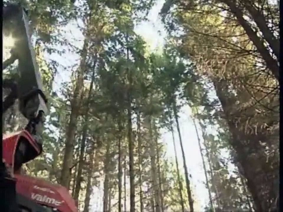 Komatsu 911.3 X3M Harvester - Extreme to Steep Slope Application