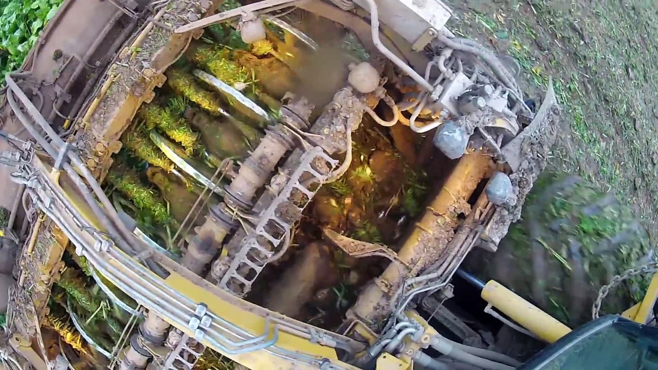 Integrale ROPA Euro Tiger with skidder - Picardie Crops