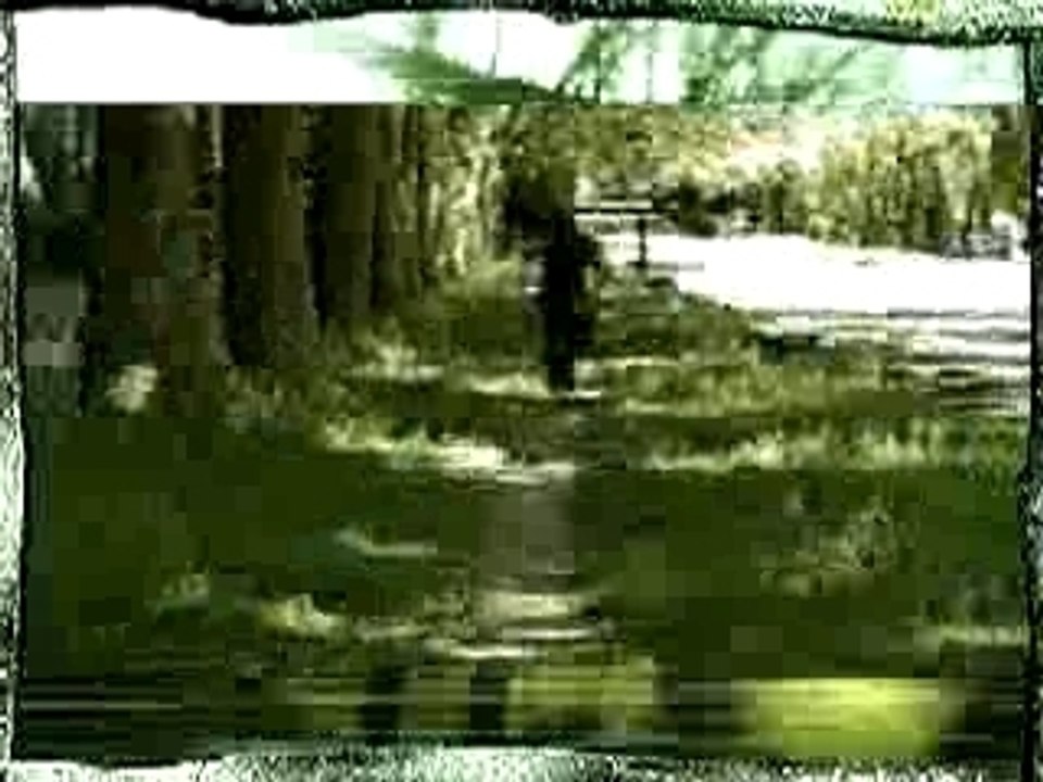 l'Essentiel - Al et lexa - 1996