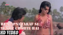 Hum Apni Taraf Se Tumhe Chahte Hai || Full Dillagi Song || Old HindI Song