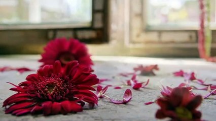 YESTERDAY - BEATLES was in 2014