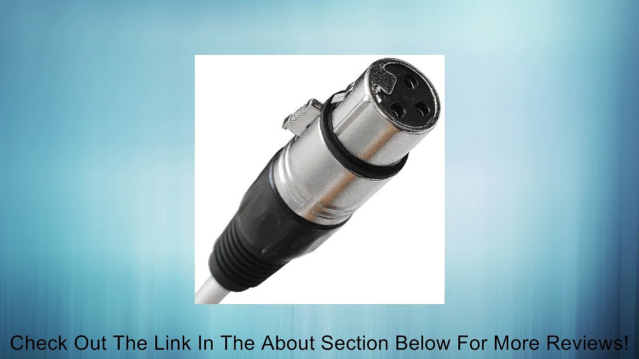 Seismic Audio - SALS-24x8x100 - 24 Channel 100' Pro Stage XLR Snake Cable (XLR & 1/4" TRS Returns) for Recording, Stage, Studio use Review