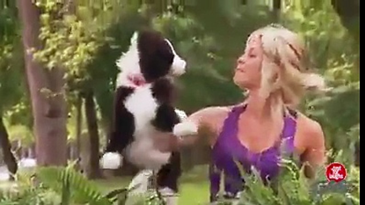stuffed animal - must watch