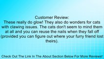Soft Nail Caps For Cat Claws GLOW IN THE DARK * SMALL SIZE * Purrdy Paws Brand Review