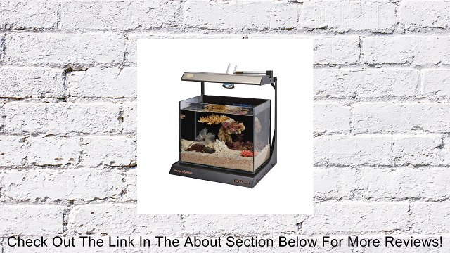 Schuber Wright Fancy Star Blue Rimless Aquarium, 4-Gallon Review