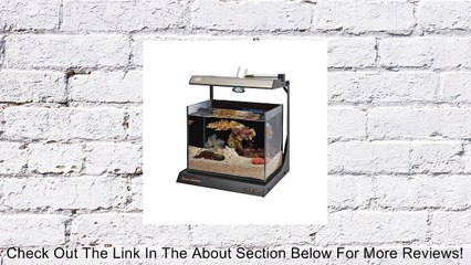 Schuber Wright Fancy Star Blue Rimless Aquarium, 4-Gallon Review