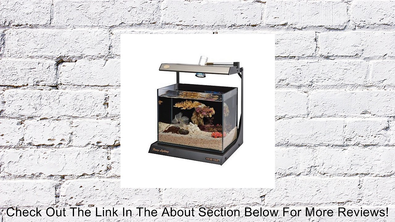 Schuber Wright Fancy Star Blue Rimless Aquarium, 4-Gallon Review