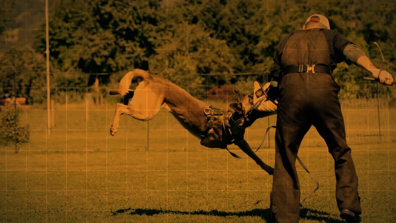 Be Aware F'Stiegl @ Plechacek-Seminar 2014