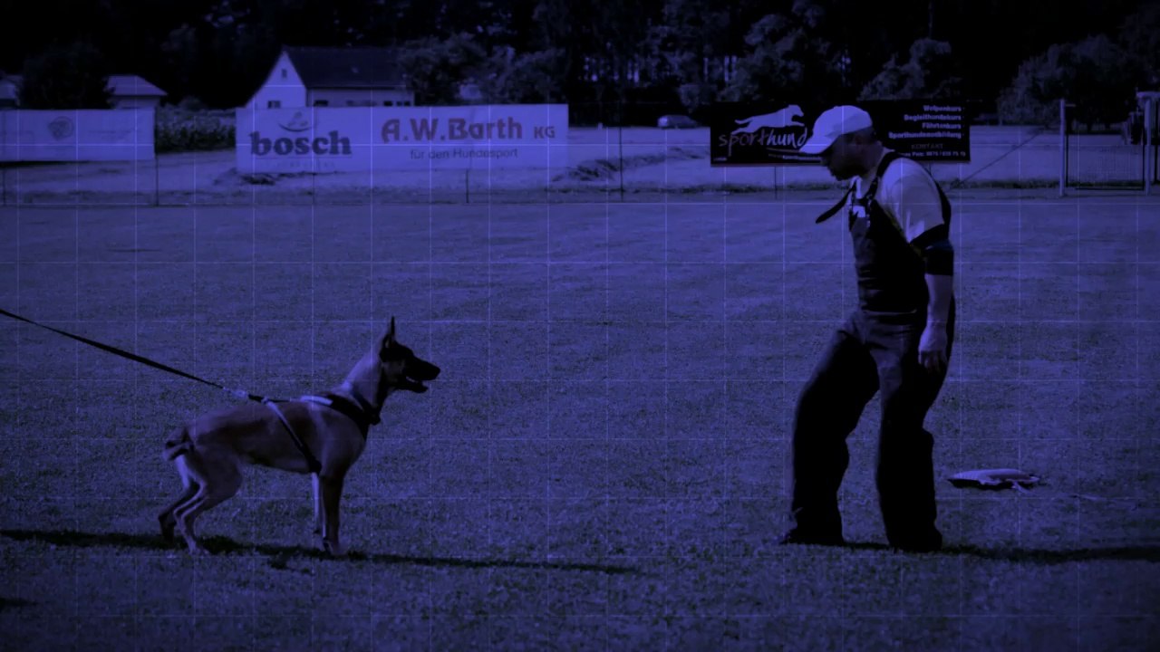 Be Aware Grisu @ Plechacek-Seminar 2014