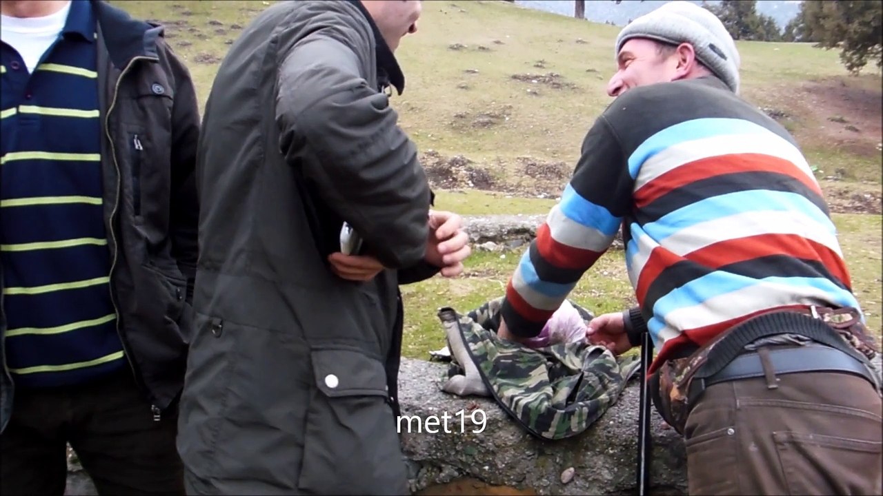 metin