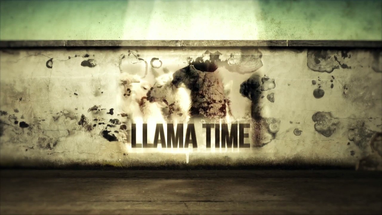 Llama Time - OBESITY CRISIS