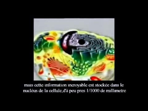 The Signs part 38 La Fin du Darwinisme part 2