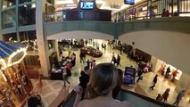 Flash Mob Surprise Wedding in Mall