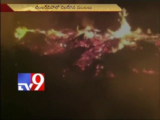 5 die in Maharashtra timber depot fire accident