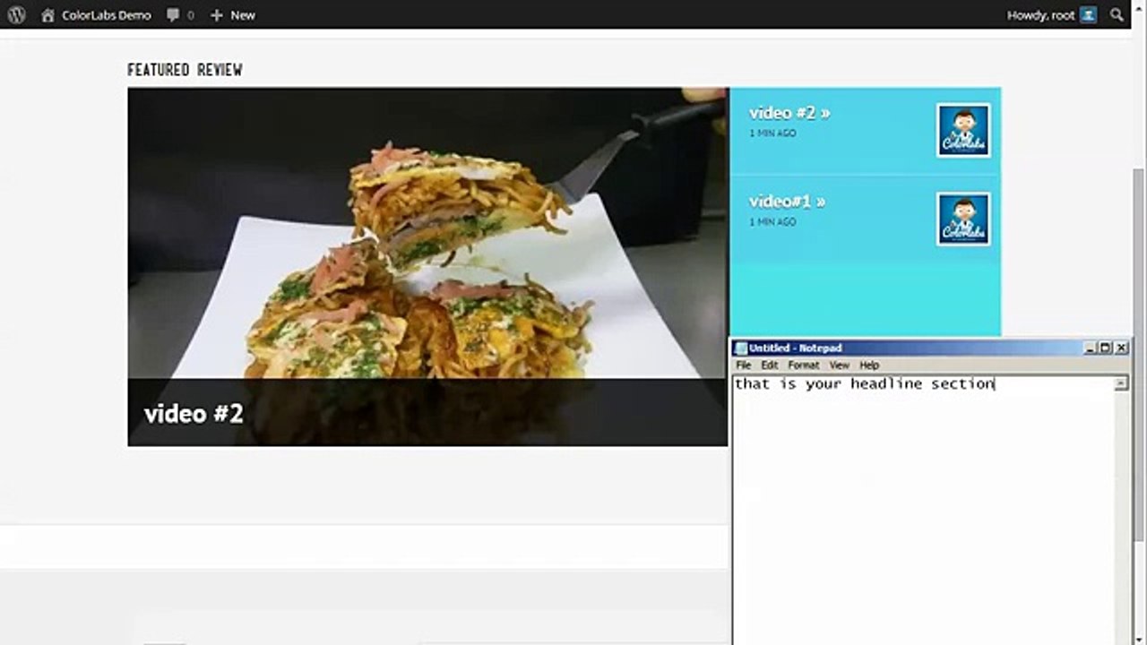 Tutorial How To Use Vidio WordPress Theme