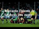LIVE Rugby Newcastle Falcons vs Saracens